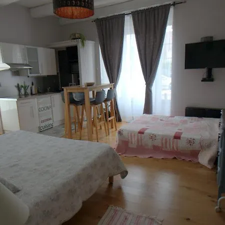 Ancolie Apartment Oyonnax